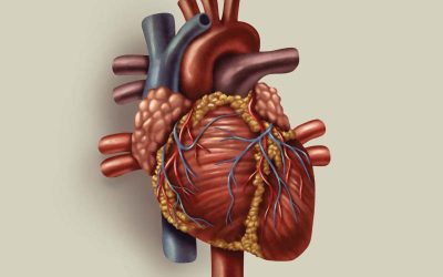 Disfunção Erétil pode significar risco aumentado de eventos Cardiovasculares